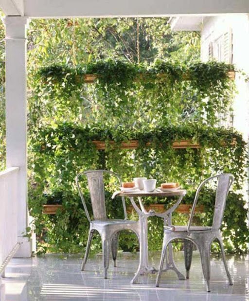 Ideas creativas para dar privacidad a tu jardín o terraza