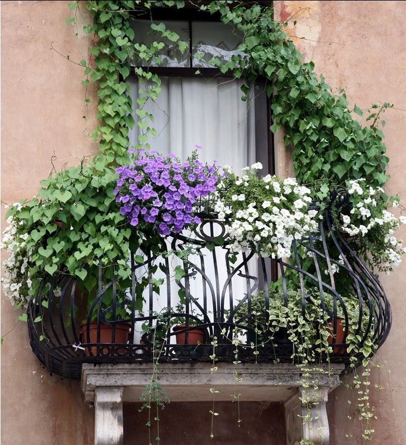 Balcones con vista natural