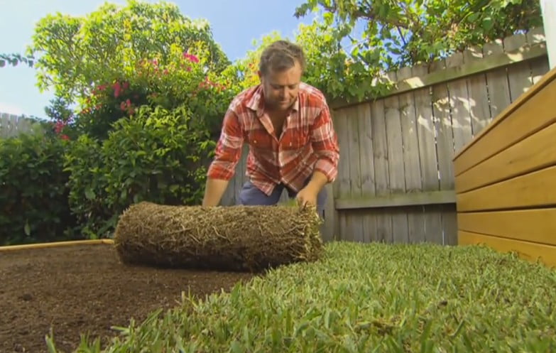 Lawn Bed