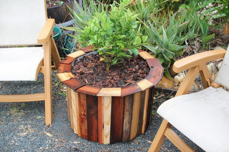Ingeniosas Formas de Reciclar Barriles de Plástico