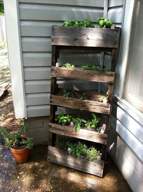 Mini jardines de bricolaje muy creativos y sencillos de hacer
