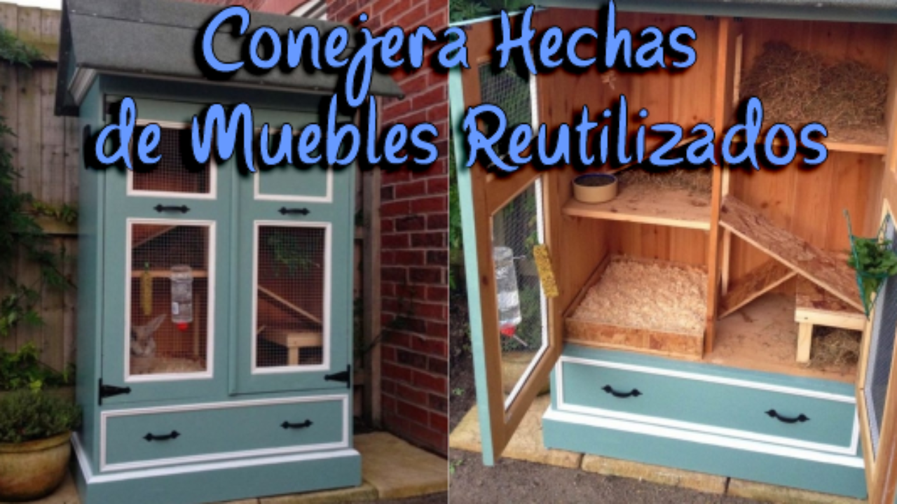 Como Hacer Una Conejera Para Criar - sleek body method