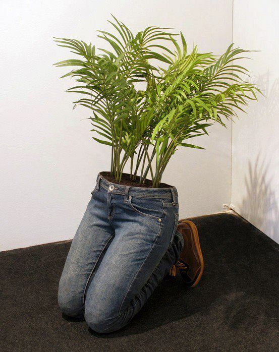 Mini jardines de bricolaje muy creativos y sencillos de hacer