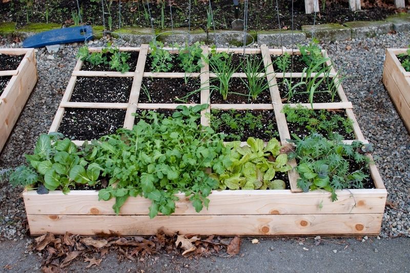 Proyectos para Camas Elevadas de Jardín
