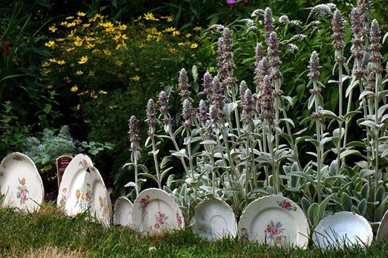 Ideas Interesantes para Embellecer tu Jardín