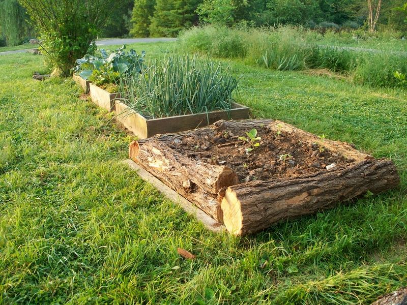 Proyectos para Camas Elevadas de Jardín