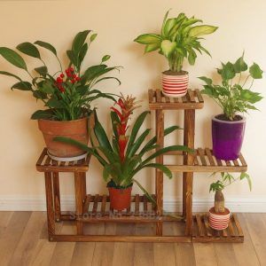 10 Beautiful pots to place your plants in all your rooms!