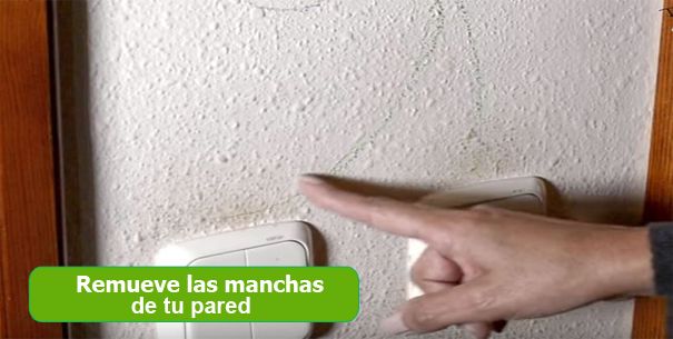 Excelentes tips para remover cualquier mancha de tu pared
