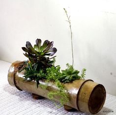How to turn bamboo into original flower pots for the interior of your home