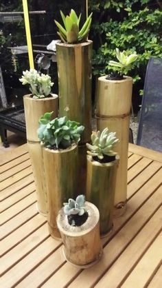 How to turn bamboo into original flower pots for the interior of your home
