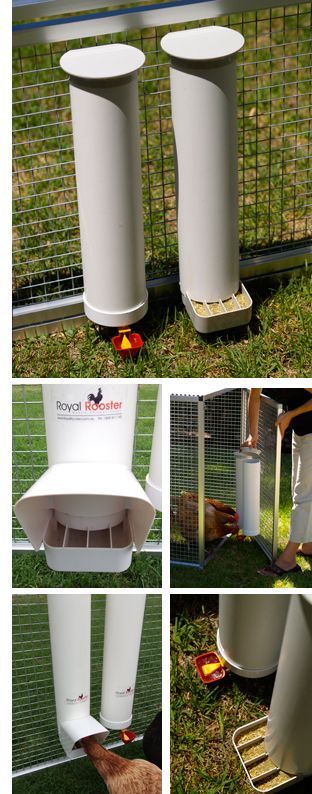 Waterer Made of PVC Pipes for Chickens
