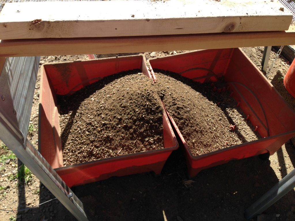 Construction of a Rock and Gravel Path for the Garden
