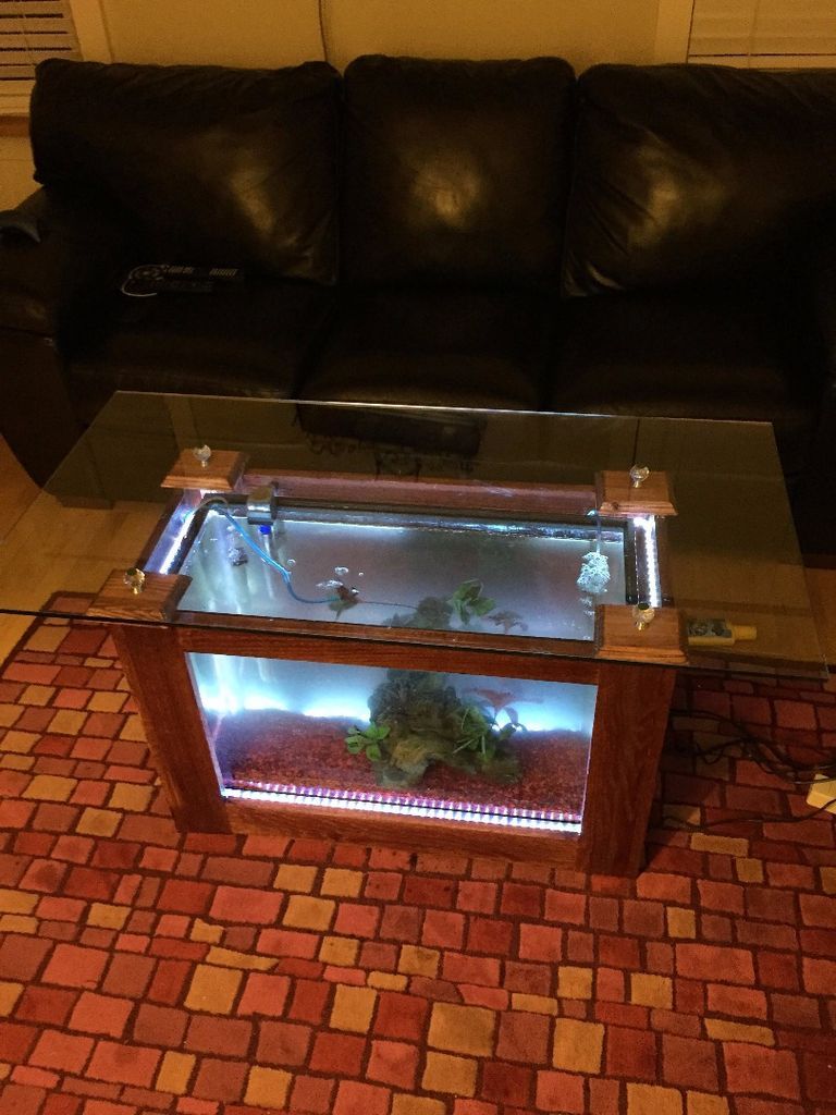 Guide to Build an Amazing Coffee Table with a Fish Tank