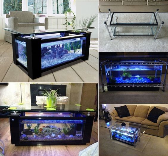 Guide to Build an Amazing Coffee Table with a Fish Tank