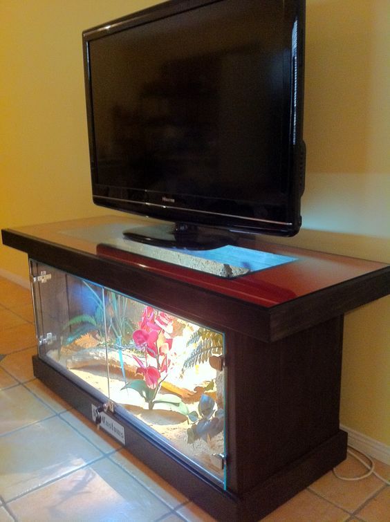 Guide to Build an Amazing Coffee Table with a Fish Tank