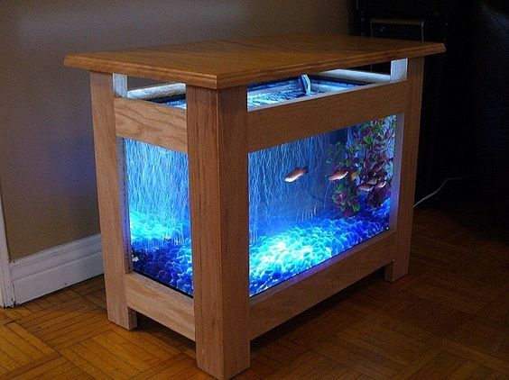 Guide to Build an Amazing Coffee Table with a Fish Tank