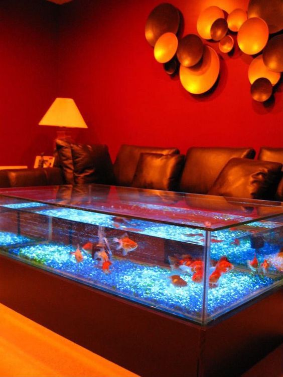 Guide to Build an Amazing Coffee Table with a Fish Tank