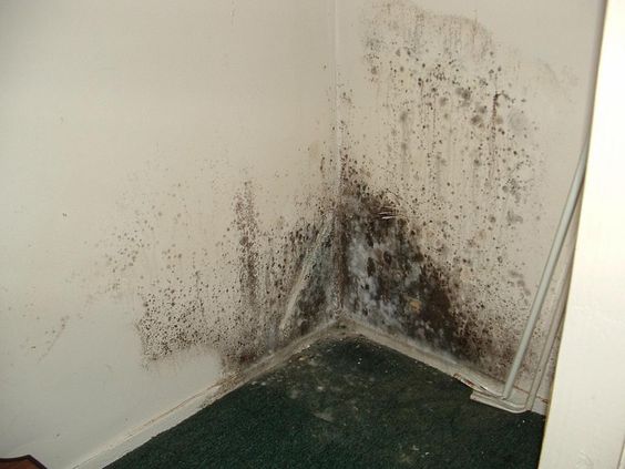Consejos para Acabar con la Humedad en el Hogar