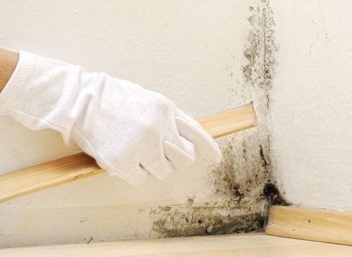 Consejos para Acabar con la Humedad en el Hogar