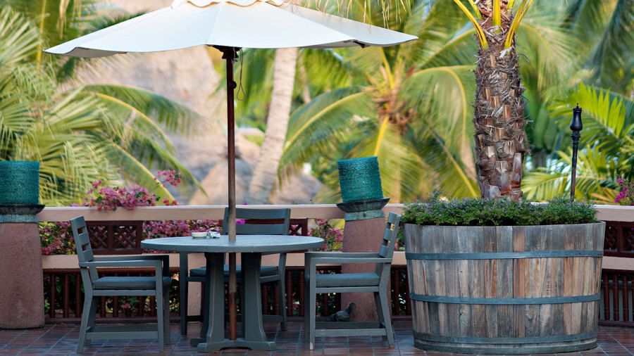 Enjoy your Garden or Backyard without Fear of the Sun: Ombrelones and Awnings