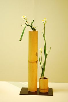 How to turn bamboo into original flower pots for the interior of your home