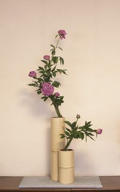 How to turn bamboo into original flower pots for the interior of your home
