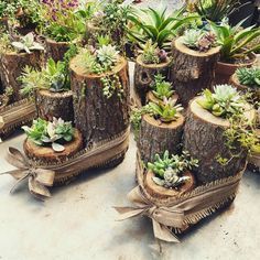 How to turn bamboo into original flower pots for the interior of your home