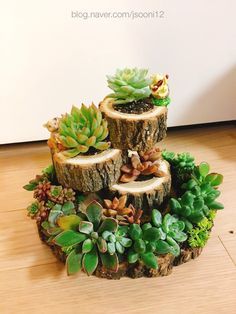 How to turn bamboo into original flower pots for the interior of your home