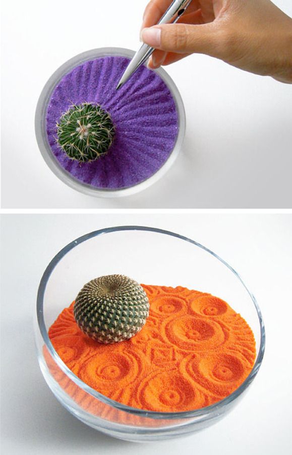 Ideas Irresistibles para Decorar su Casa con Cactus