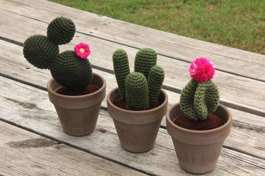 Ideas Irresistibles para Decorar su Casa con Cactus