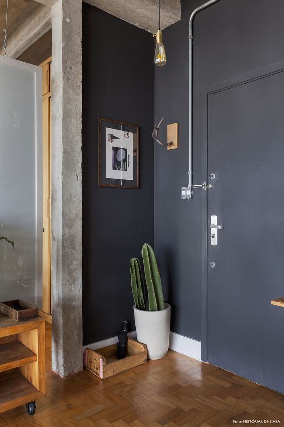 Ideas Irresistibles para Decorar su Casa con Cactus