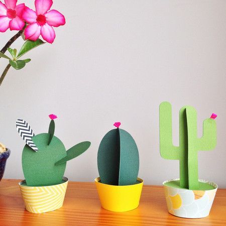 Ideas Irresistibles para Decorar su Casa con Cactus