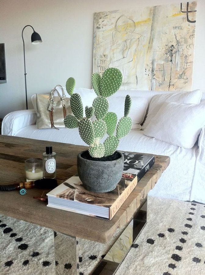 Ideas Irresistibles para Decorar su Casa con Cactus