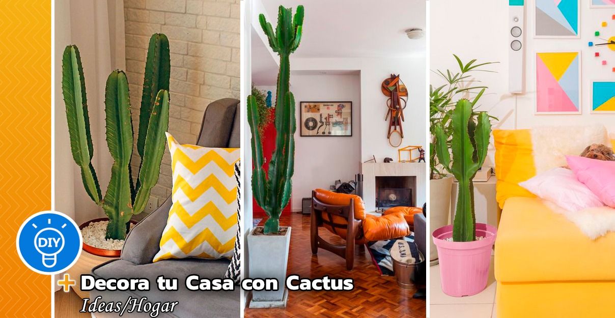 Ideas Irresistibles para Decorar su Casa con Cactus