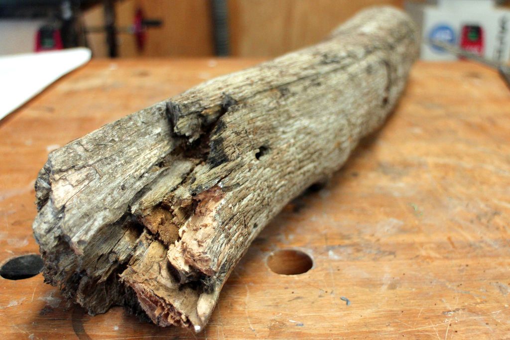 Rustic Look Stackable Coasters Made from a Tree