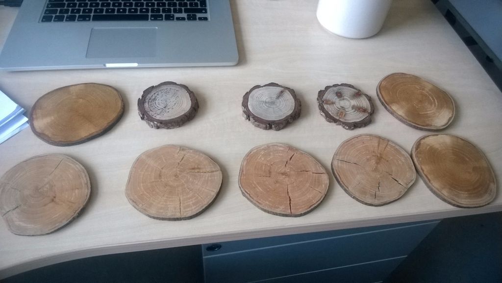 Rustic Look Stackable Coasters Made from a Tree