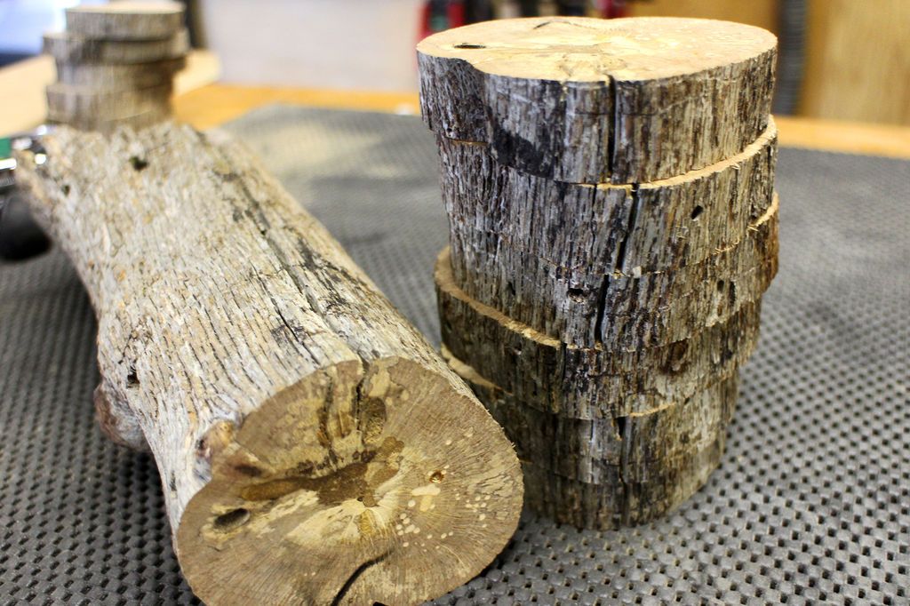 Rustic Look Stackable Coasters Made from a Tree