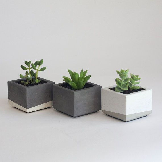 Aprende cómo realizar macetas de concreto utilizando moldes reciclables