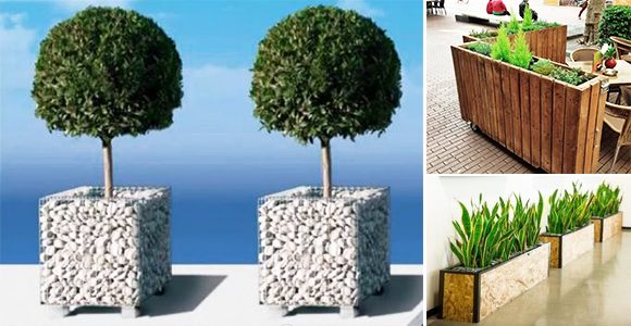 14 hermosas ideas para decora el interior de tu hogar usando plantas