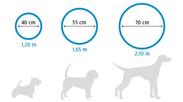 Build a 360-degree shower for your pet