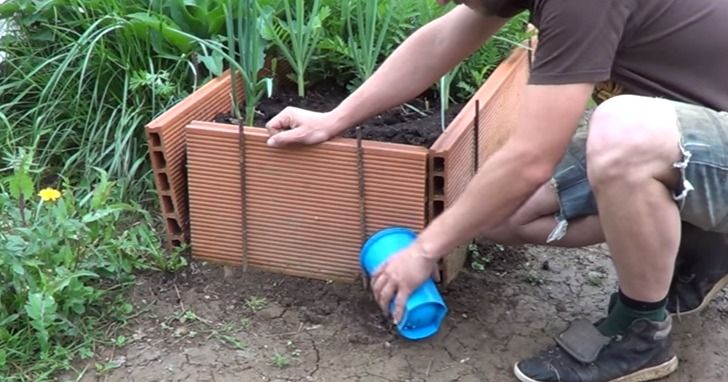 Brilliant uses of vinegar for the orchard or garden