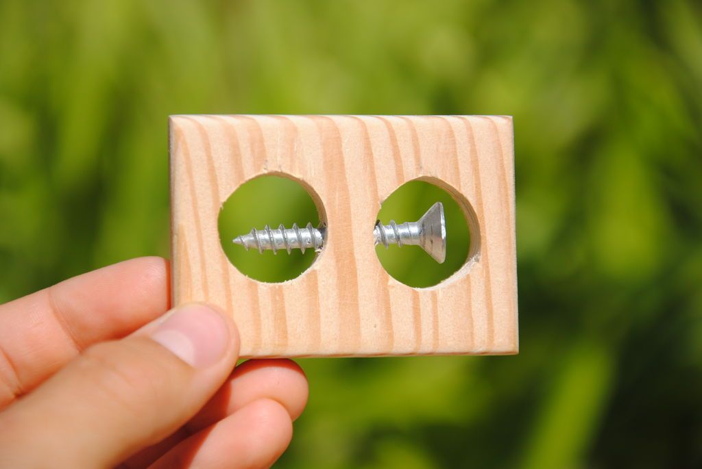 Impossible Screw in a Block of Wood