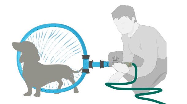 Build a 360-degree shower for your pet