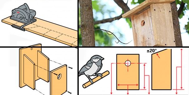 Construye una casa para pájaros y ayuda a protegerlos del frío