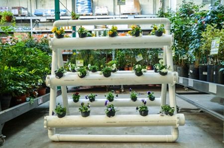 Build a Vertical Garden with PVC Pipes