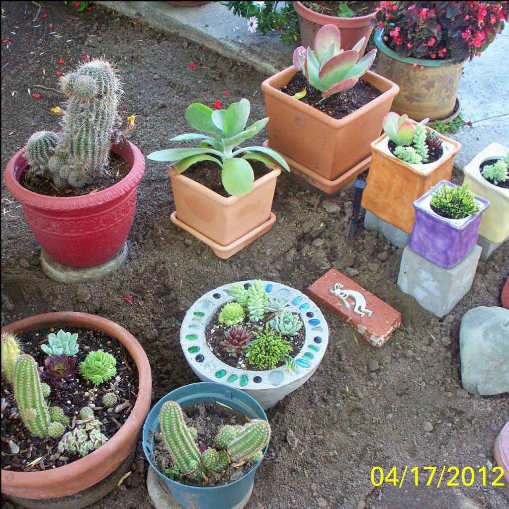 Cómo Hacer Plantador para el Jardín con una Bola de Boliche