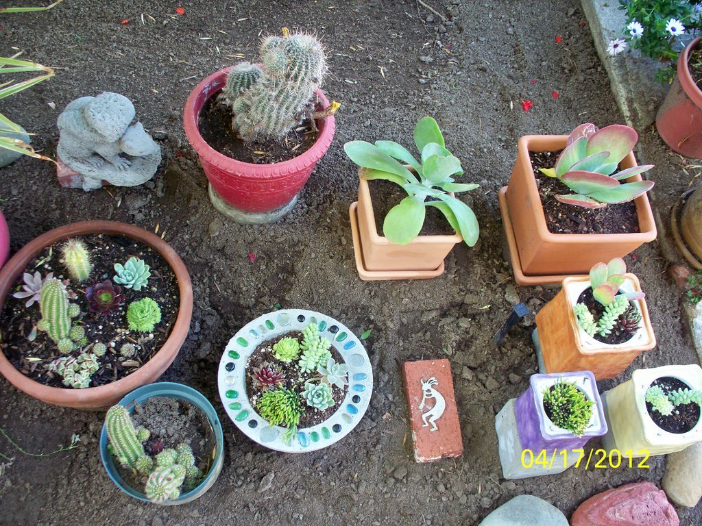 Cómo Hacer Plantador para el Jardín con una Bola de Boliche