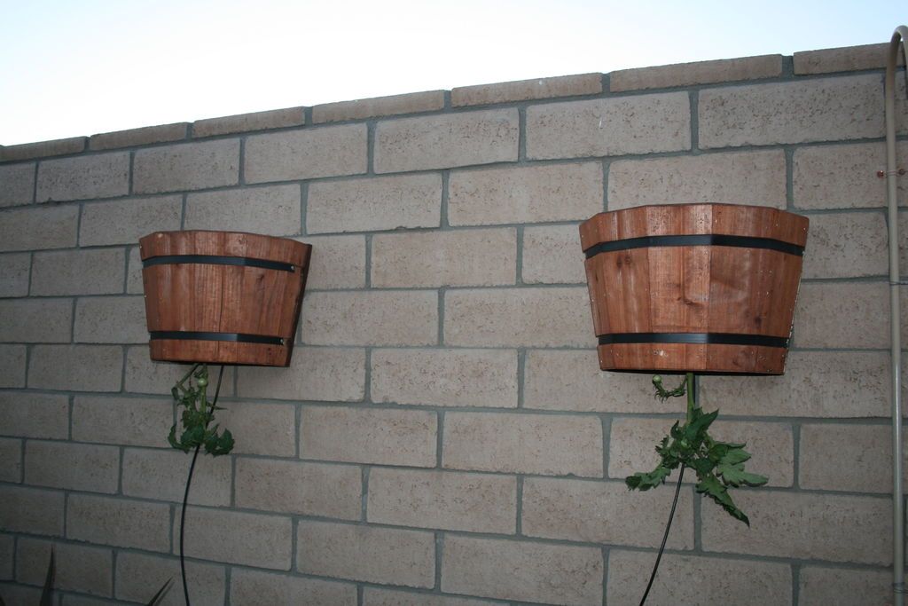 Cómo Construir un Atractivo y Ahorrativo Plantador al Revés