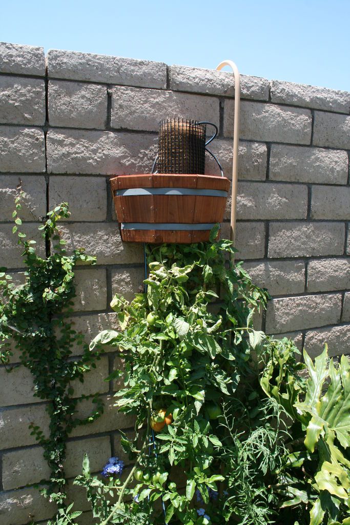 Cómo Construir un Atractivo y Ahorrativo Plantador al Revés