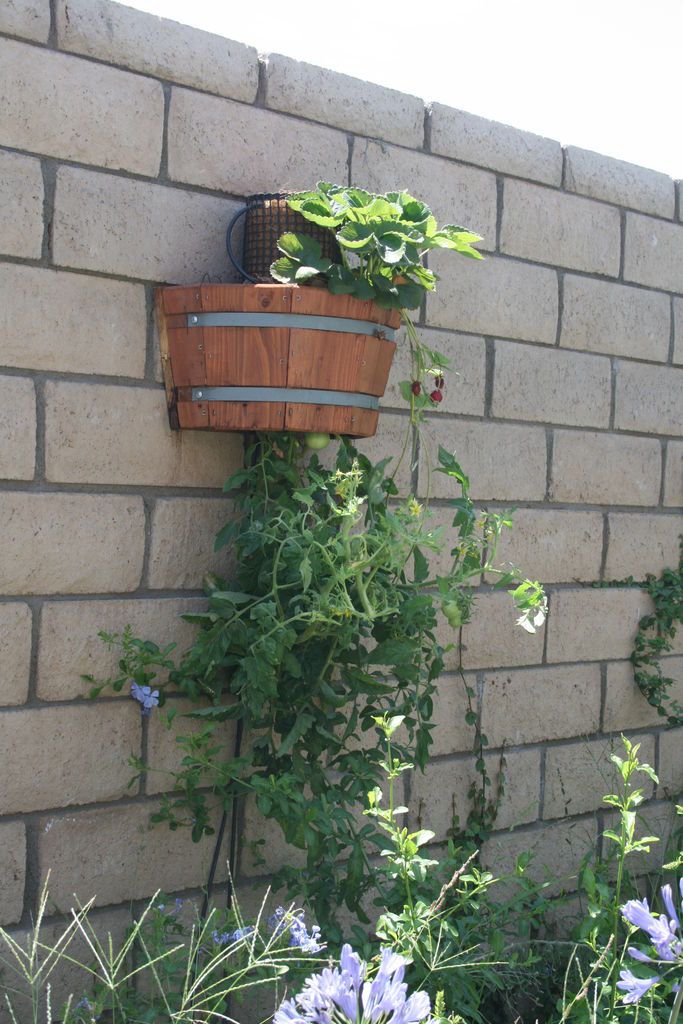 Cómo Construir un Atractivo y Ahorrativo Plantador al Revés